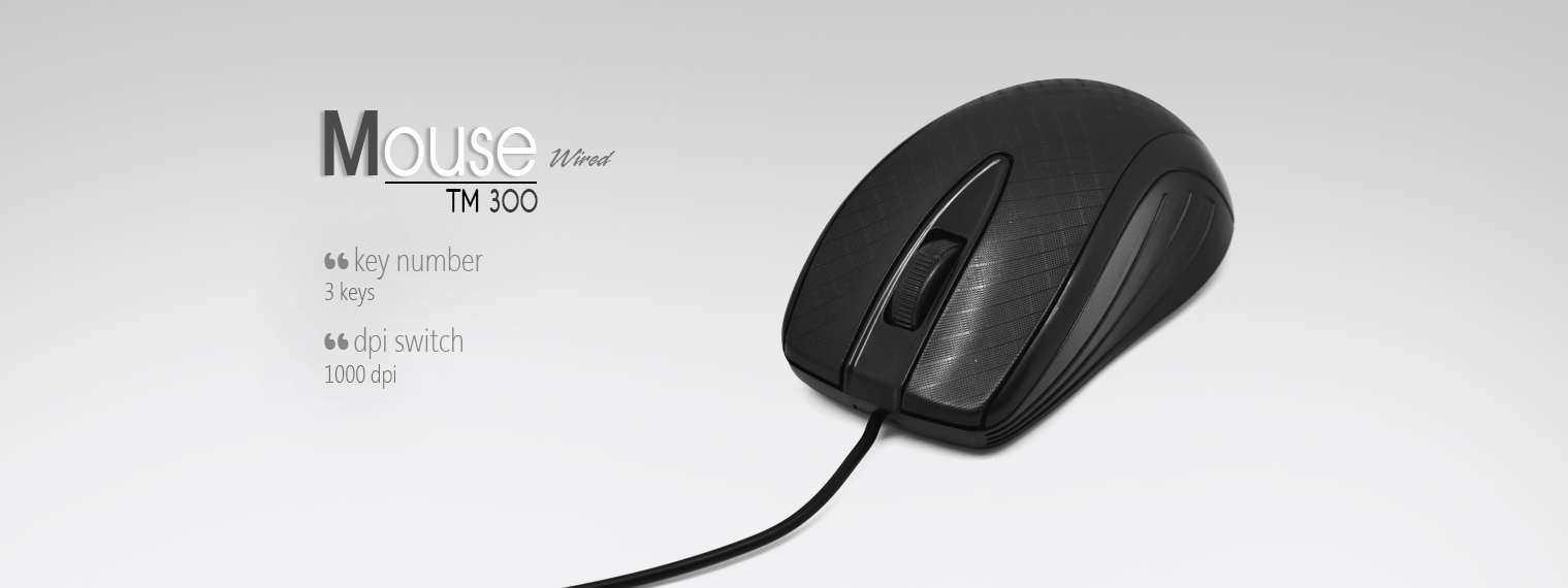 TM300