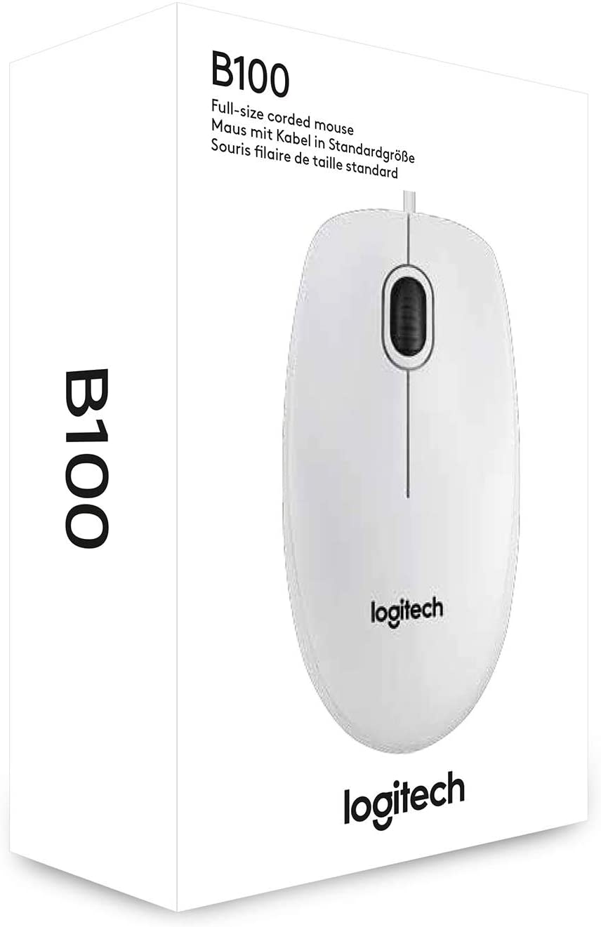 B100