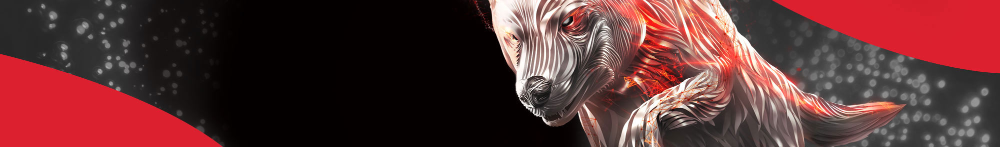 هارد اینترنال NAS سیگیت IronWolf