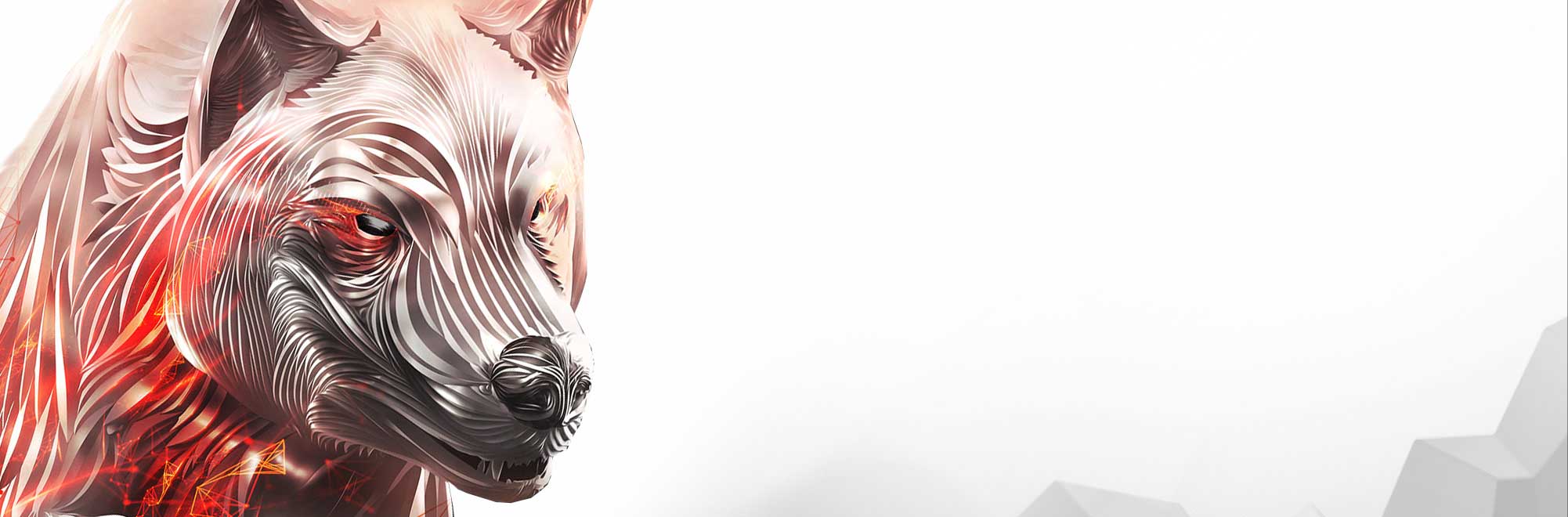 هارد اینترنال NAS سیگیت IronWolf