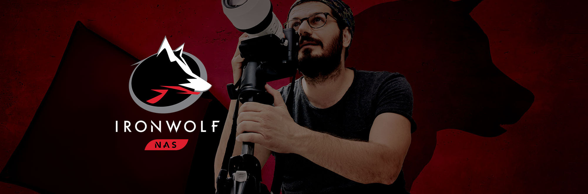 هارد اینترنال NAS سیگیت IronWolf